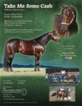 T_Cash_8.5x11-flyer.jpg